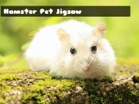 Hamster pet jigsaw