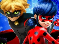 Miraculous ladybug slide