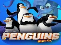 Combat penguin shooter