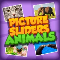 Picture slider animals