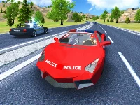 Police car stunt driver