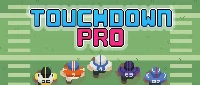 Touchdown pro