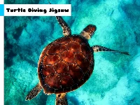 Turtle diving jigsaw