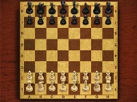 Chess master king