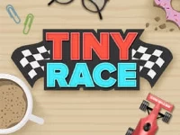 Tiny race - toy car racing