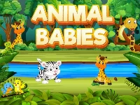 Animal babies