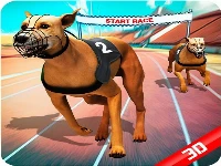 Crazy dog race