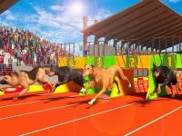 Dog run 3d