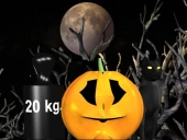 Halloween pumpkin weighin;