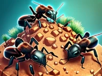 Ant colony