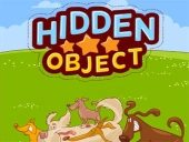 Hidden object