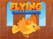 Flying challenge