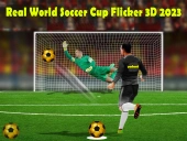 Real world soccer cup flicker 3d 2023