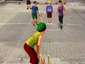 Gully cricket