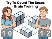 Try to count the boxes brain training