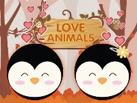 Love animals