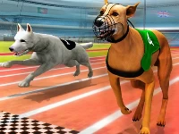 Real dog racing simulator 3d