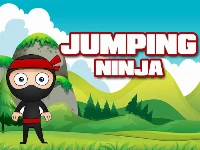 Jumping ninja